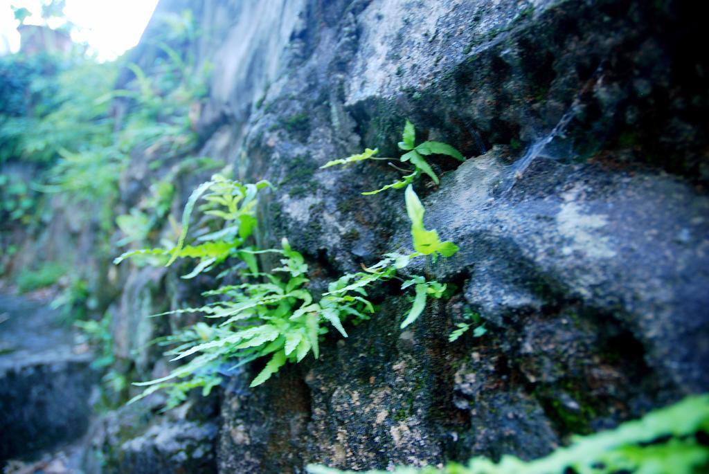 The Mountain Hotel Hangzhou Exterior photo